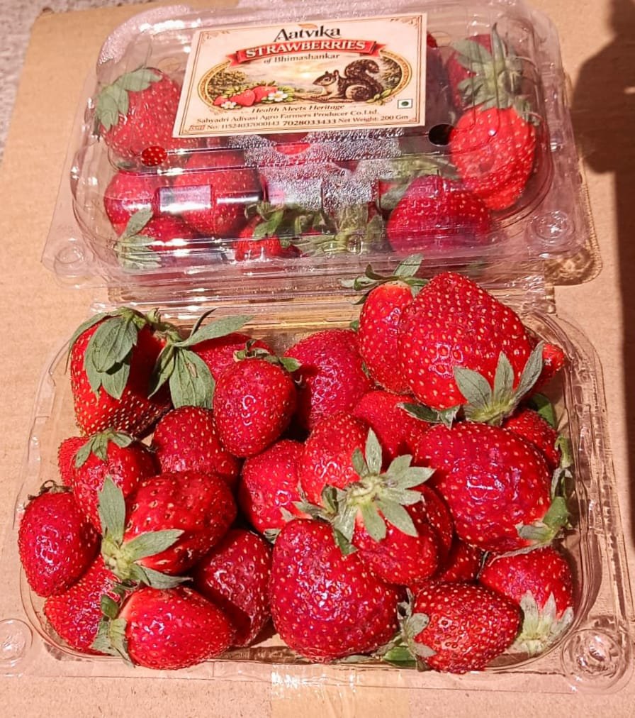 Strawberry Fruit